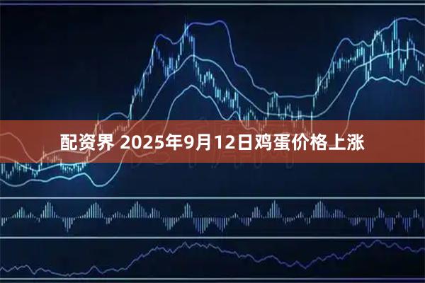配资界 2025年9月12日鸡蛋价格上涨